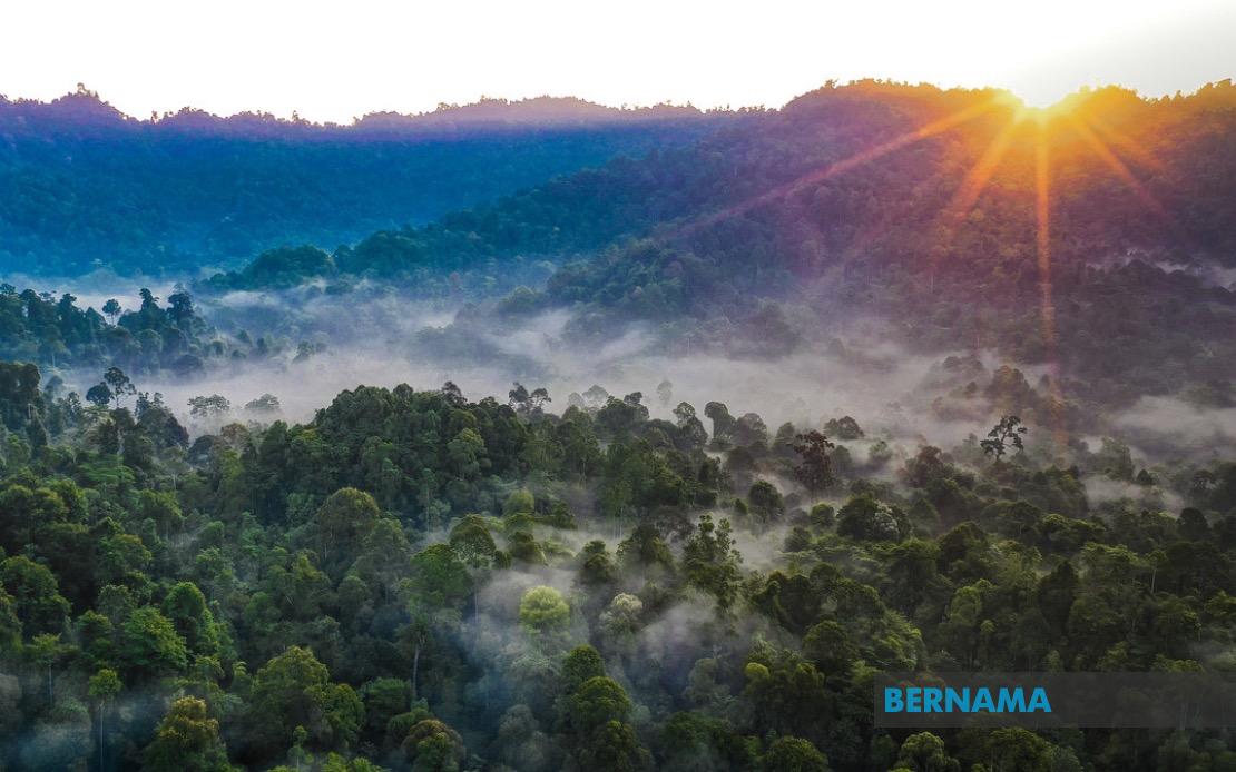 Kelantan to Replace All Degazetted Forest Reserves, Says Deputy Menteri Besar