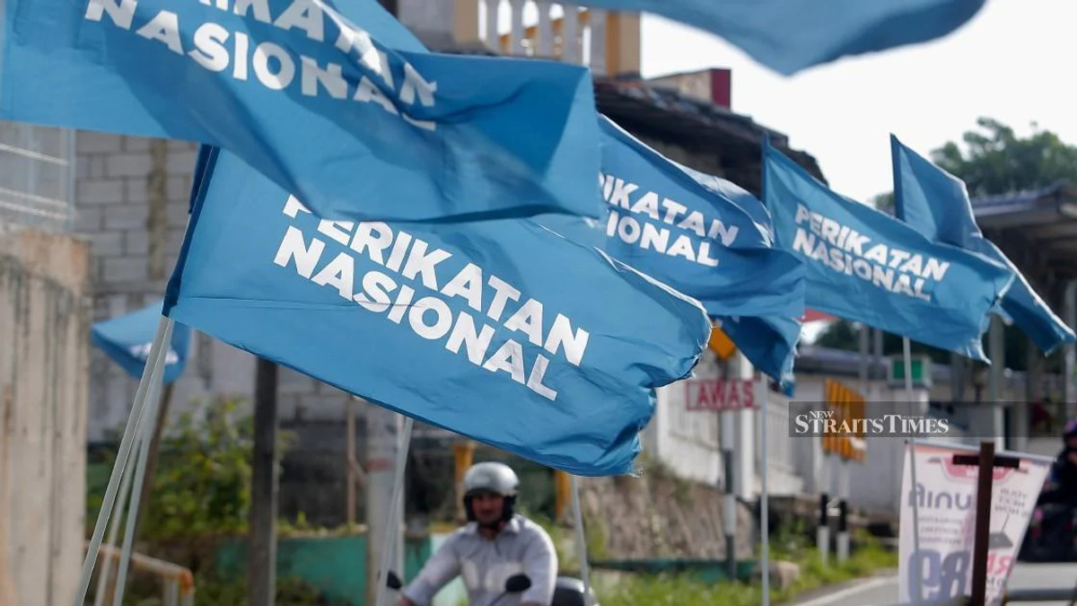 Analysts doubt PN Plus viability without Umno support