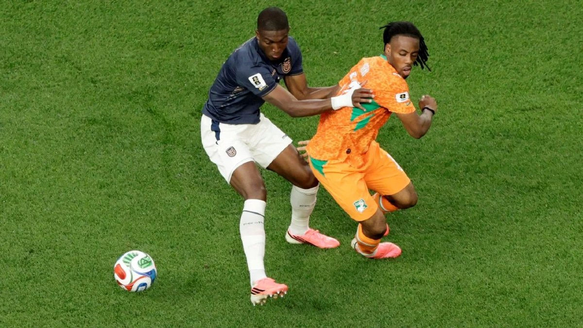 Ivory Coast Suspends Wahi From Germany World Cup Clash Over Match-Fixing Probe