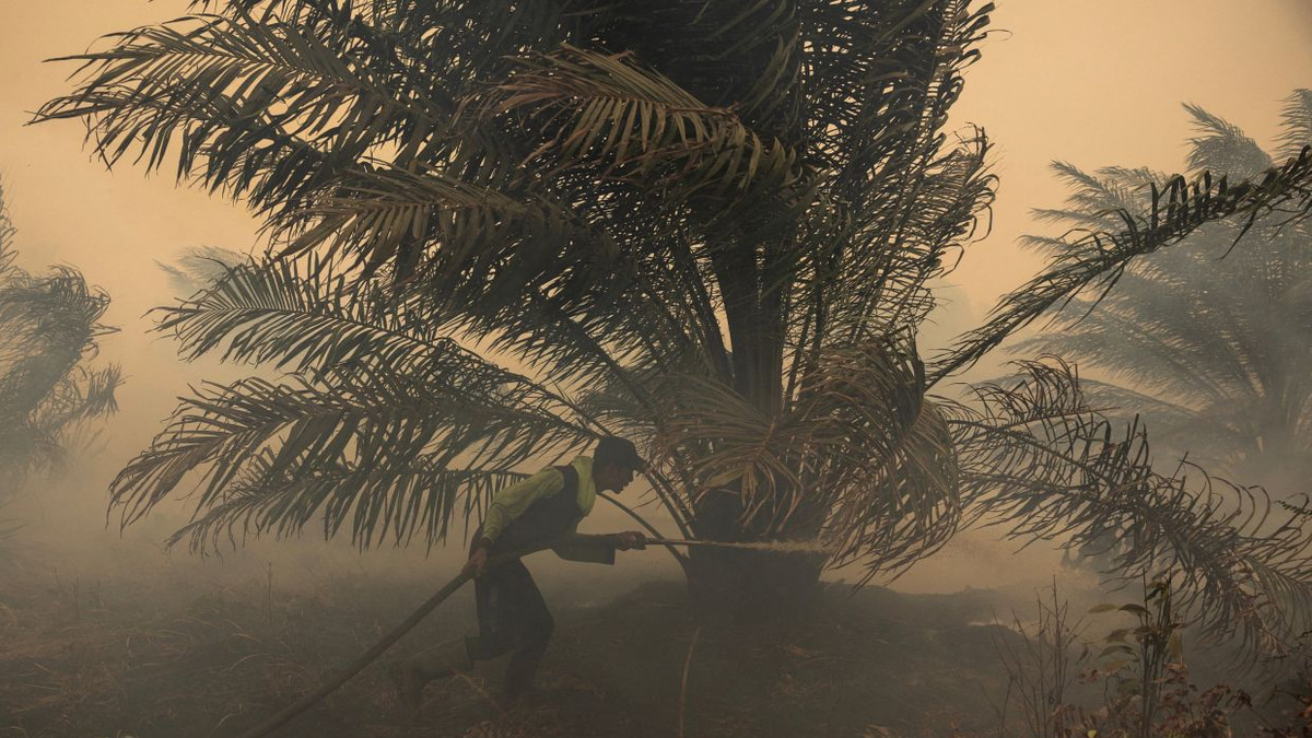 Japan deploys water-bombing helicopters as Kalimantan haze crisis deepens