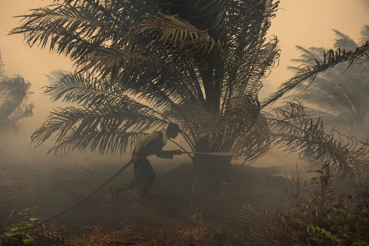 Japan deploys water-bombing helicopters as Kalimantan haze crisis deepens