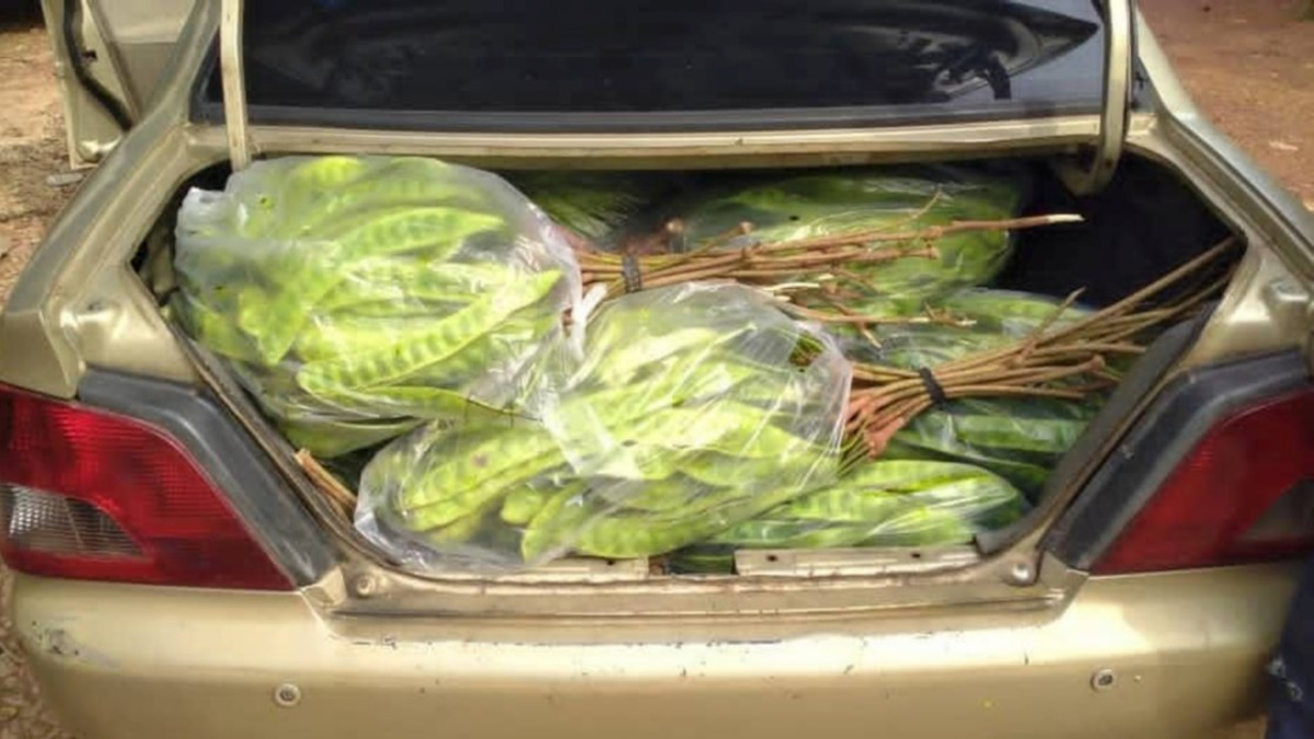 Thai National Arrested for Smuggling Vegetables and Fruit Worth RM8,000 Through Kelantan Border