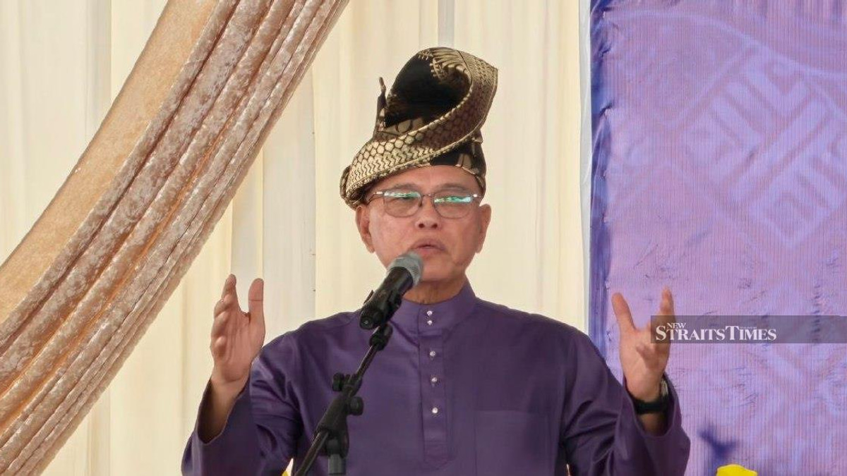 Negri Sembilan result shows voters value competence over identity politics, Wan Rosdy says