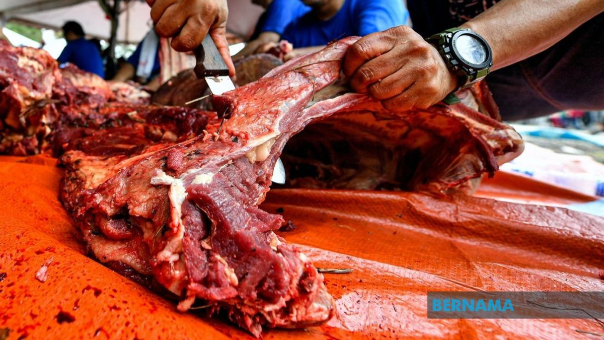 Melaka Issues 887 Permits for Aidiladha Animal Slaughter Outside Abattoirs