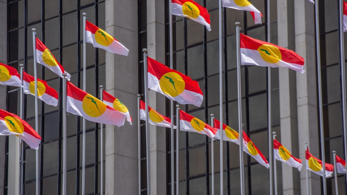 Perlis Umno Set to Challenge All Seats Without Coalition Partners
