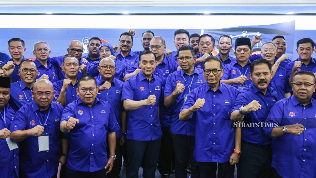 BN will govern Johor alone if victorious, says Onn Hafiz—rules out coalition