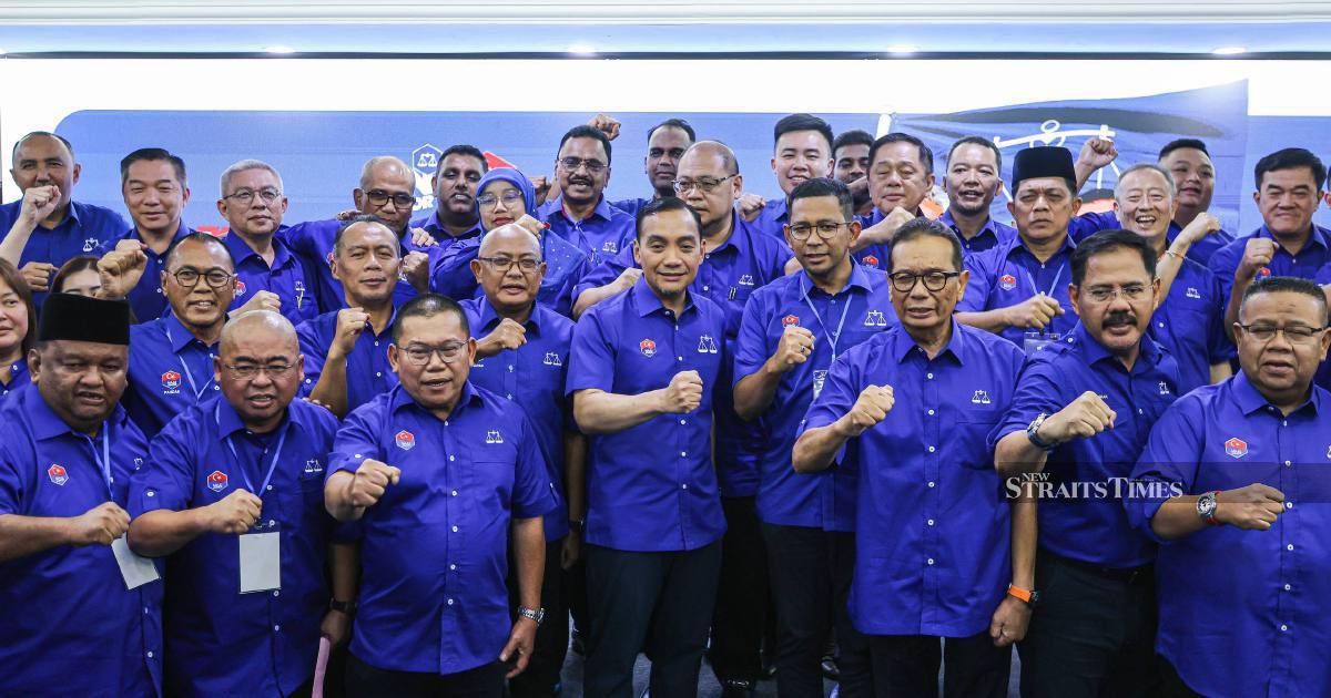BN will govern Johor alone if victorious, says Onn Hafiz—rules out coalition