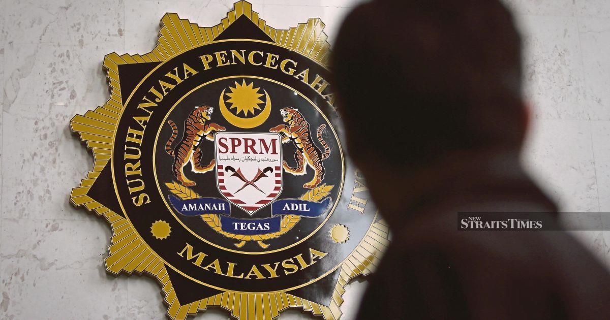 MACC Probes Felda Palong 7 Oil Palm Replanting Initiative Over Seedling Quality Concerns