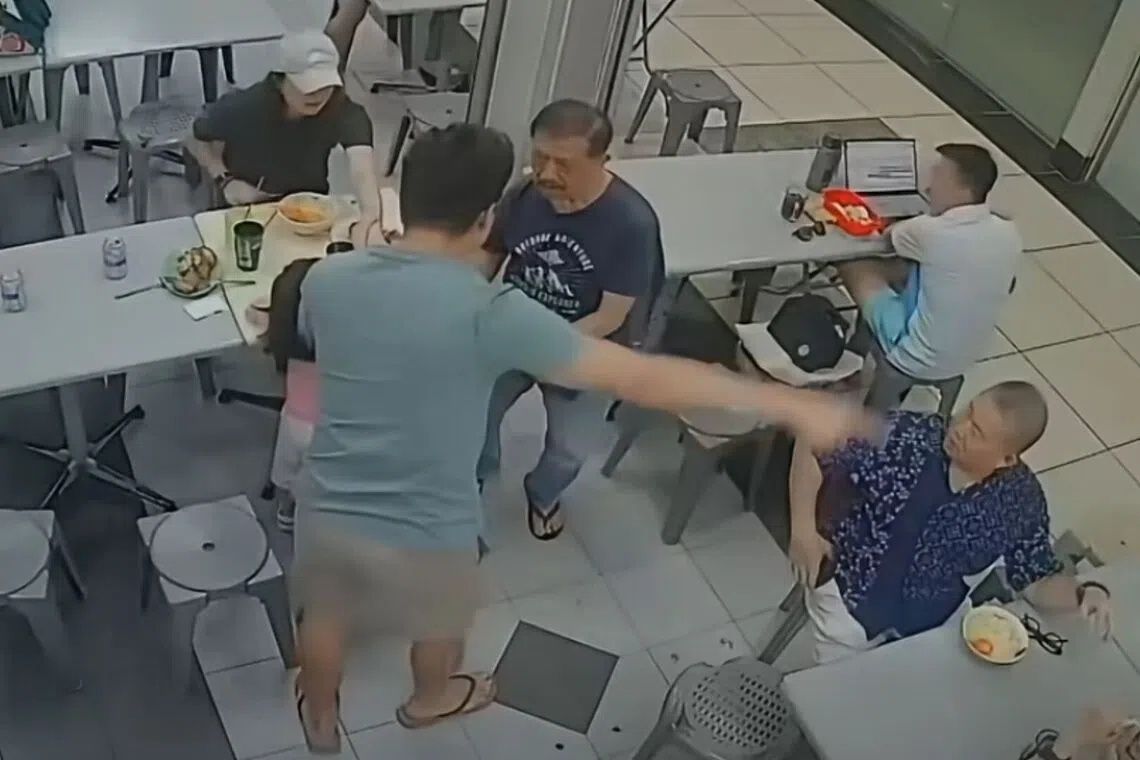 Police Investigate Incident After Elderly Singapore Man Pushed to Ground for Patting Girl's Head