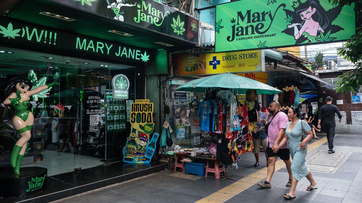 Thailand Grapples with Cannabis Control as Loopholes Widen and Stakeholders Clash