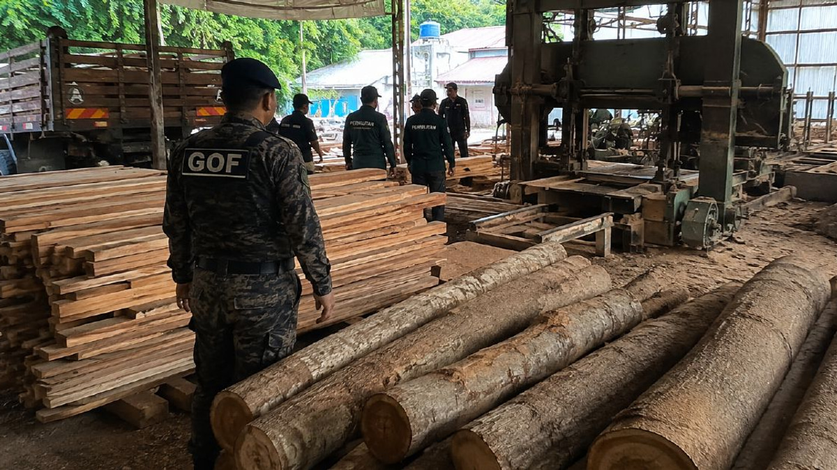 Illegal timber haul worth RM640,510 seized in Terengganu sawmill raid
