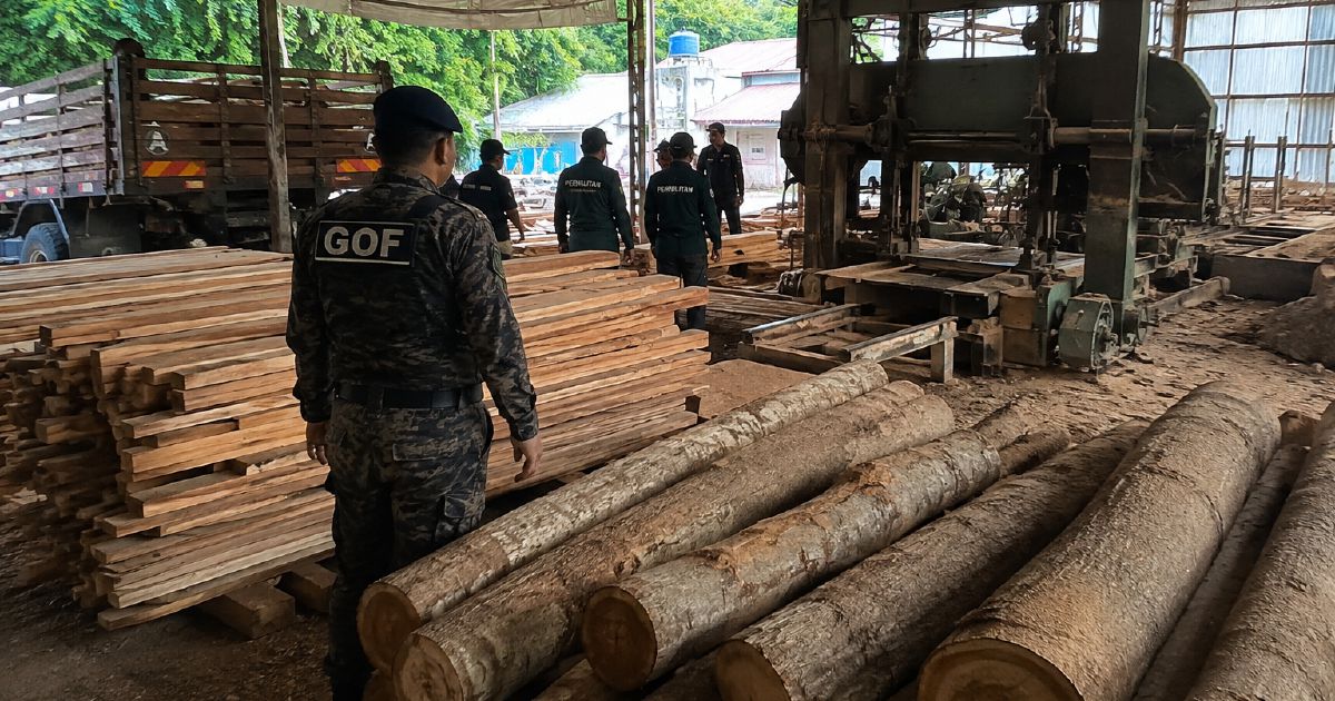 Illegal timber haul worth RM640,510 seized in Terengganu sawmill raid