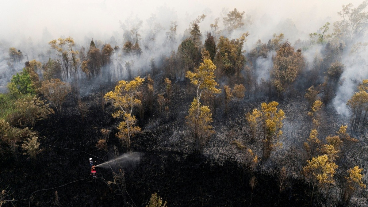 Haze Forces Complete Flight Shutdown at Singkawang Airport