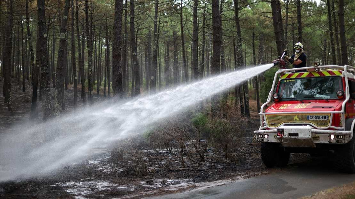 France Arrests Over 300 People Linked to Wildfire Crisis as Blazes Continue Across Nation