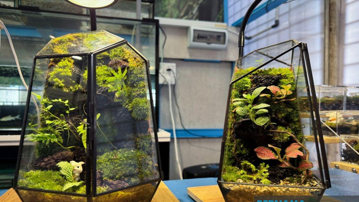 From YouTube to Business: How a Jeli Polytechnic Student Built a Terrarium Empire from Recycled Materials