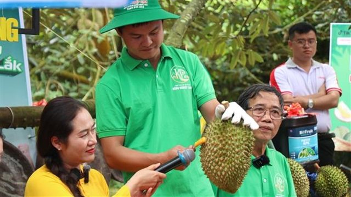 Vietnam's durian export dominance tested by certification fraud crackdown