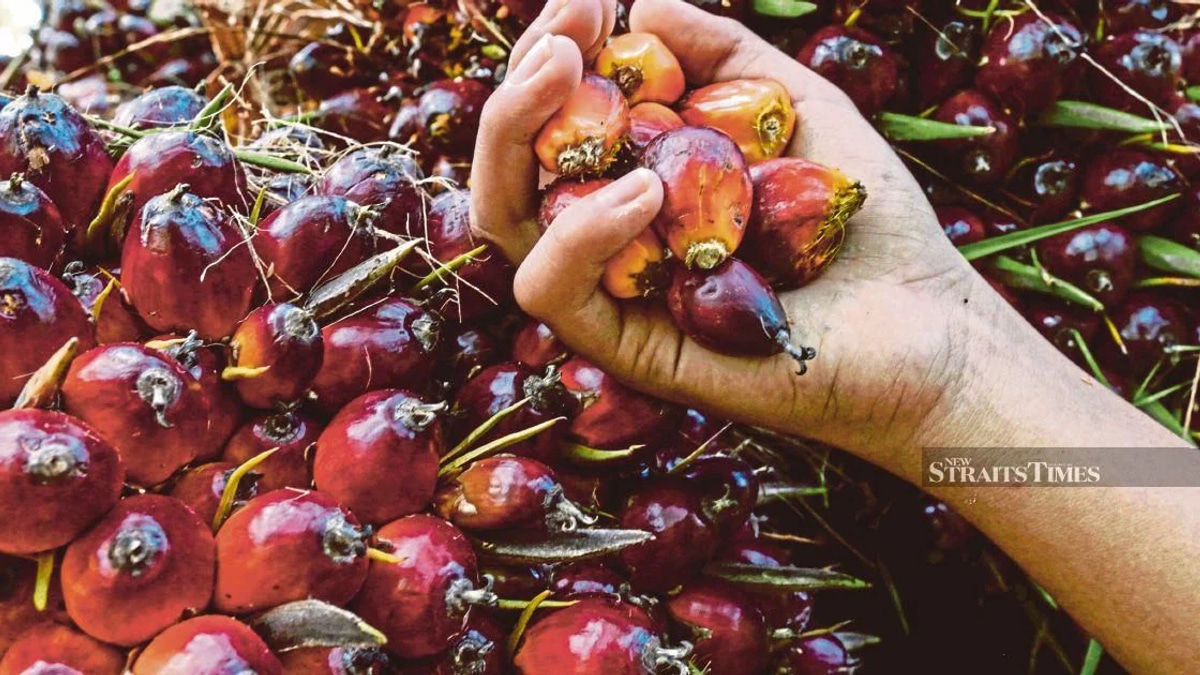Former KLK Employee Pleads Not Guilty to Palm Oil Stock Records Charge
