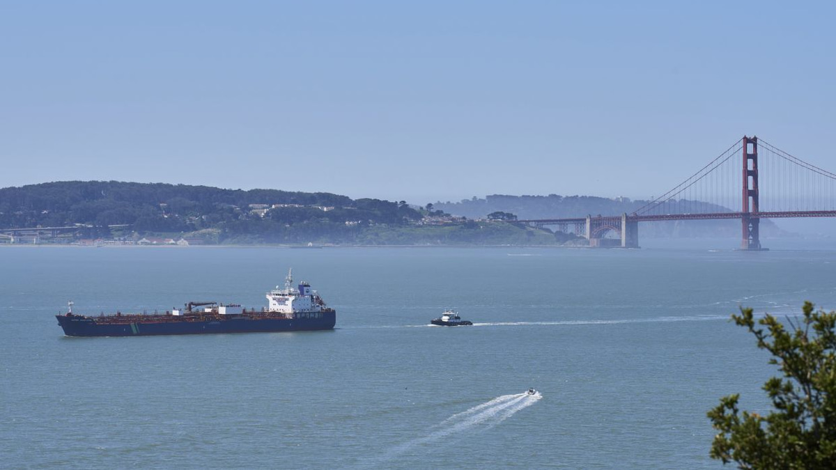 San Francisco deploys AI system to prevent whale-ship collisions
