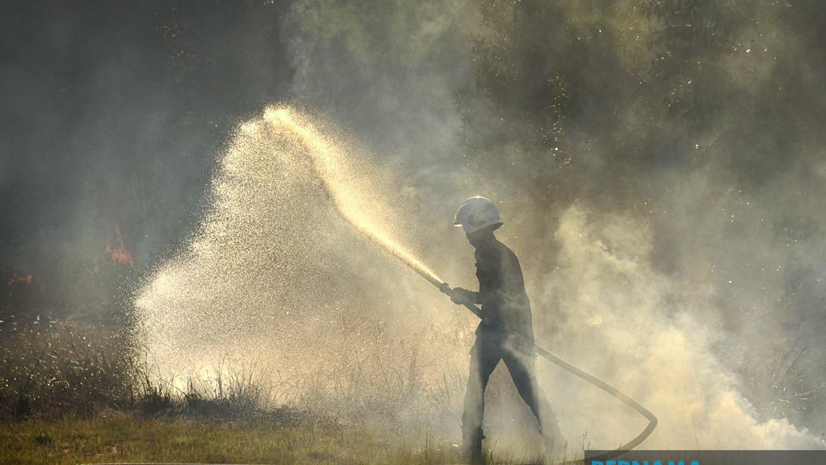 Wildfire Crisis In Russia's Krasnoyarsk Region Escalates Rapidly