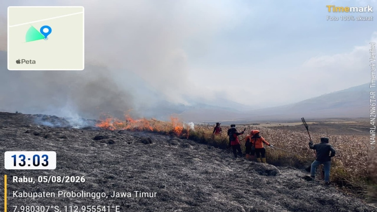 Indonesia Deploys Helicopters to Combat Mount Bromo Wildfire Covering 60 Hectares