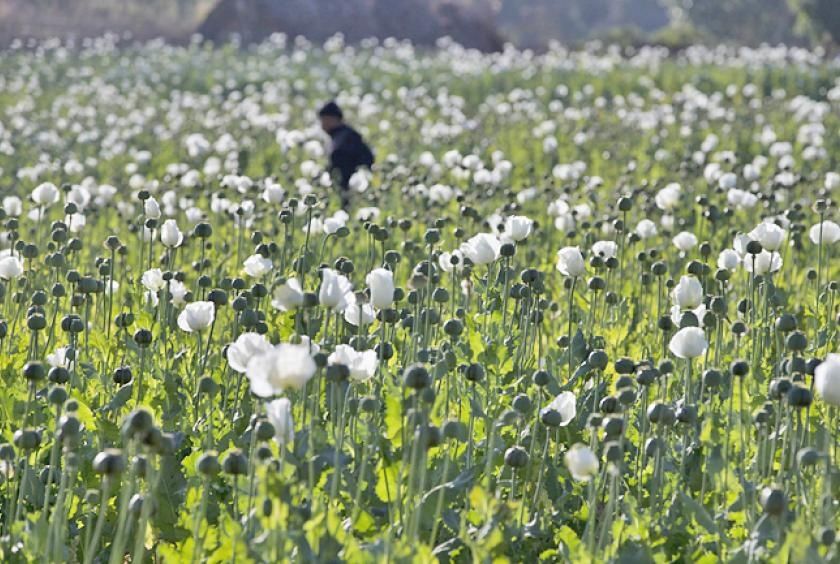 Myanmar authorities seize major heroin and stimulant haul in Mandalay and Naypyitaw