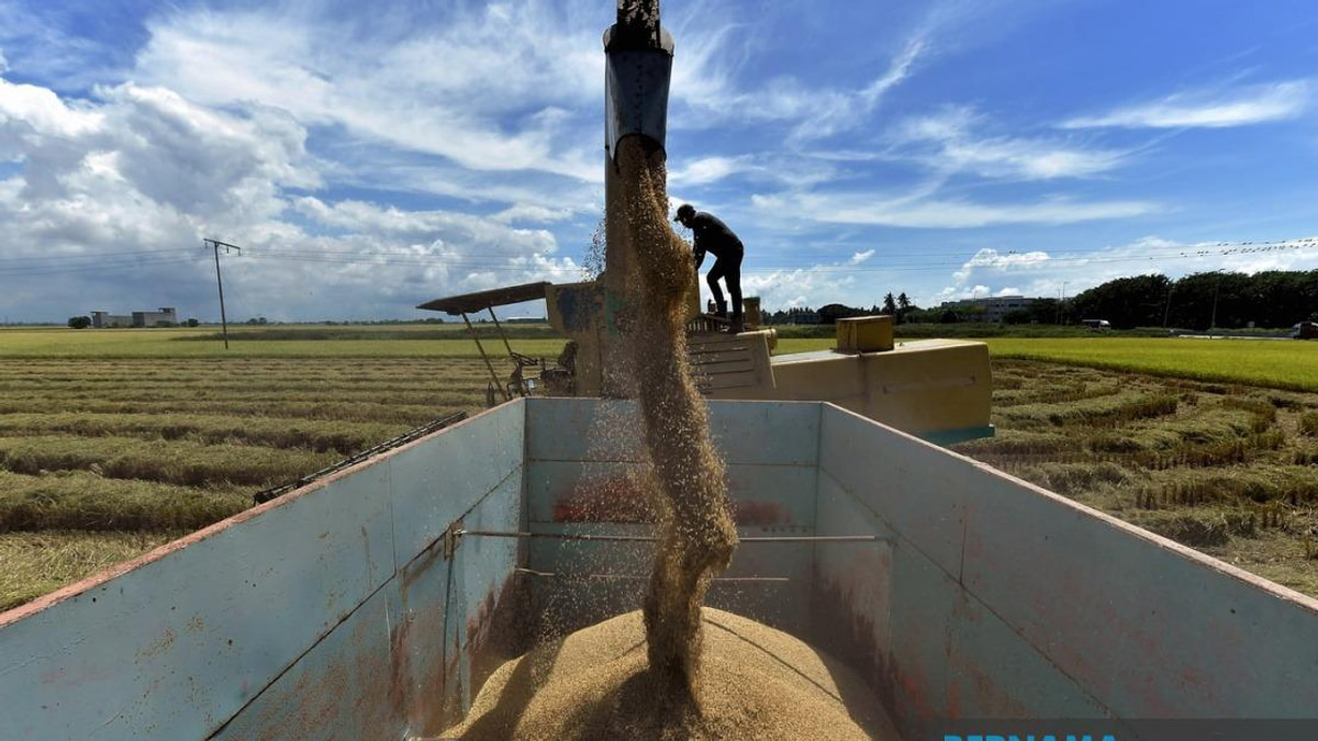 Malaysia Proposes Sweeping Penalties and Price Controls Under Padi and Rice Bill