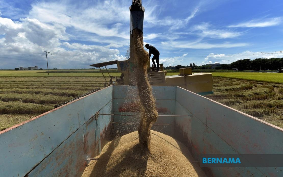 Malaysia Proposes Sweeping Penalties and Price Controls Under Padi and Rice Bill