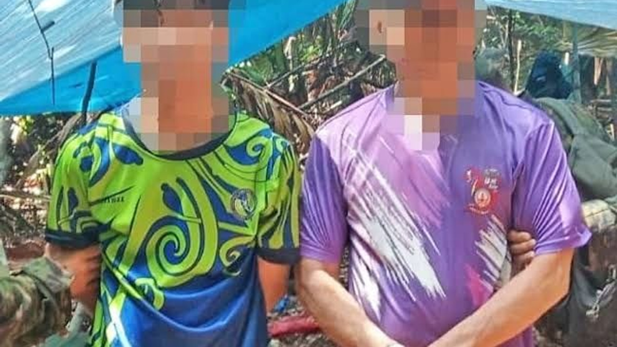 Brunei arrests two foreign nationals over agarwood theft in protected forest