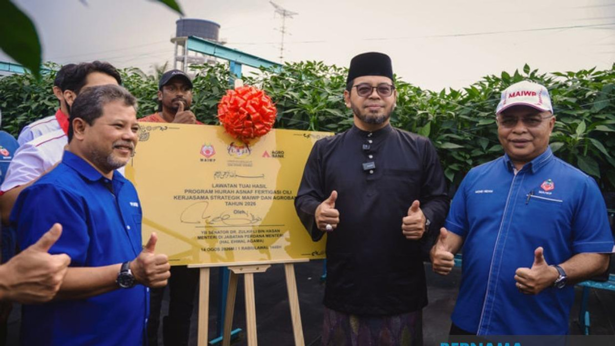 MAIWP Scales Up Asnaf Chilli Farming With Advanced Fertigation Technology