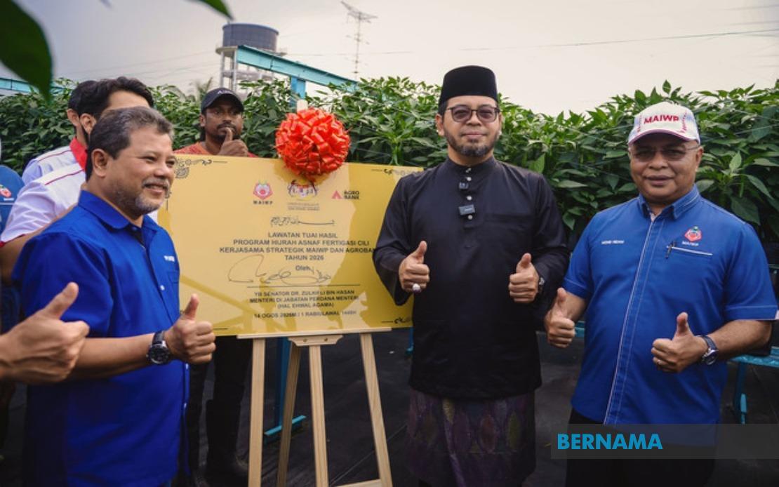 MAIWP Scales Up Asnaf Chilli Farming With Advanced Fertigation Technology