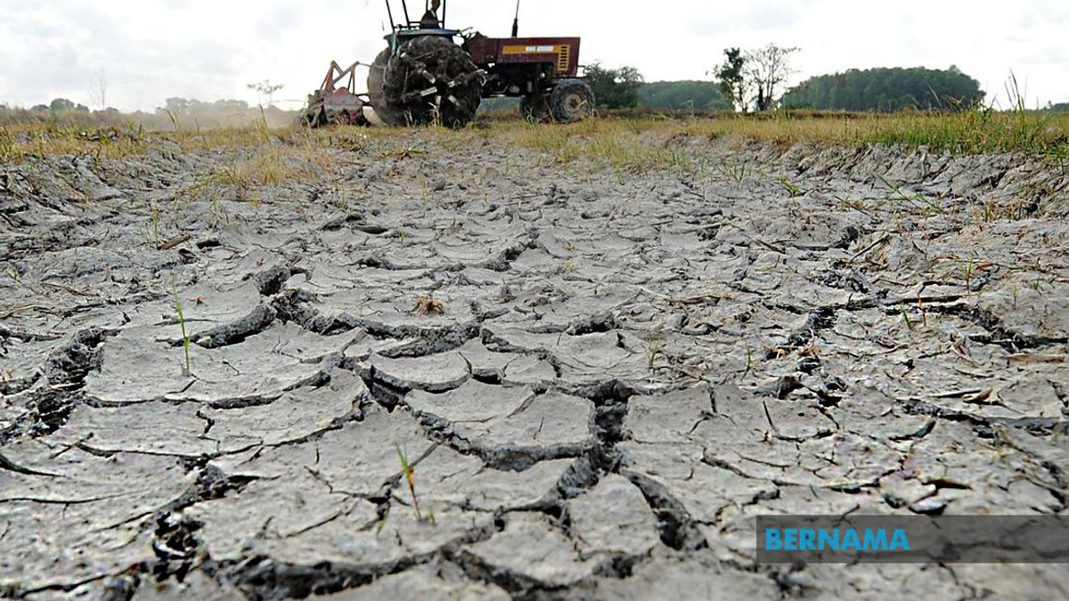 Strengthening El Niño to Bring Drier, Hotter Weather and Health Risks to Malaysia