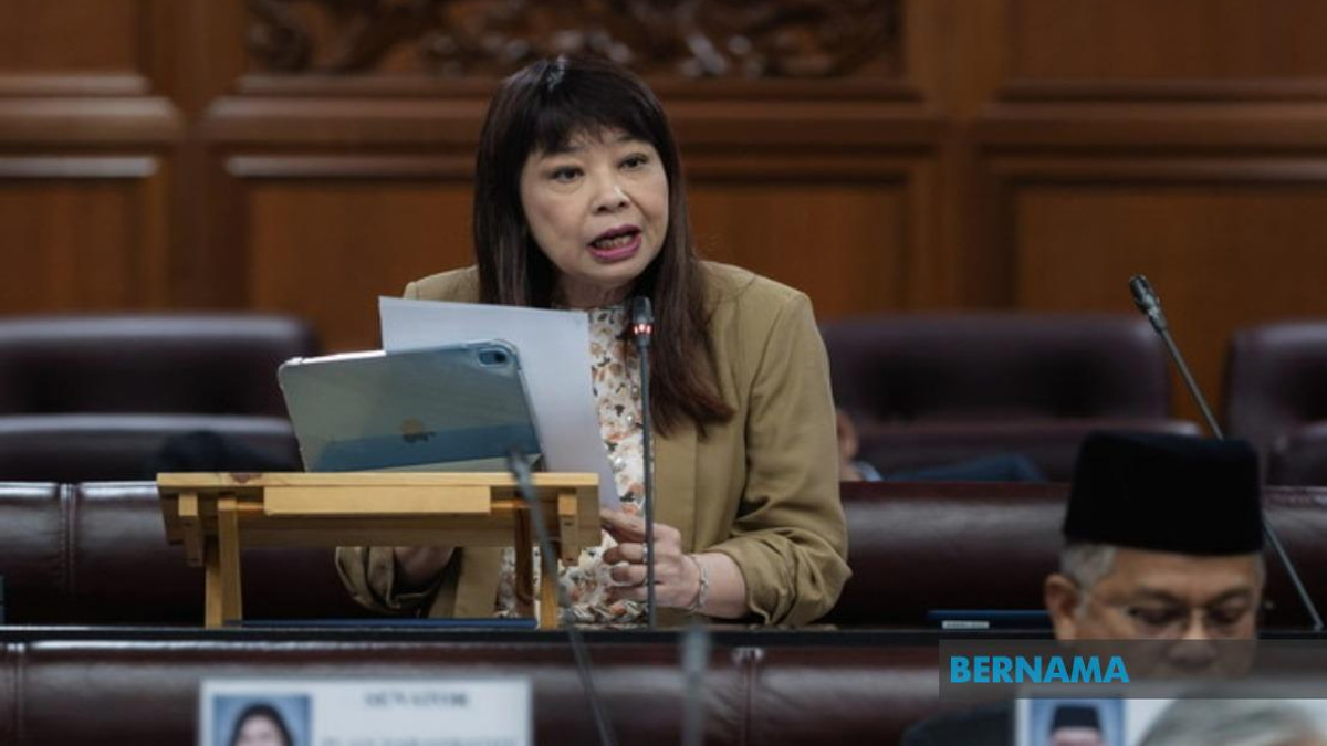Government Develops Domestic Violence Offenders Registry to Combat Repeat Abuse