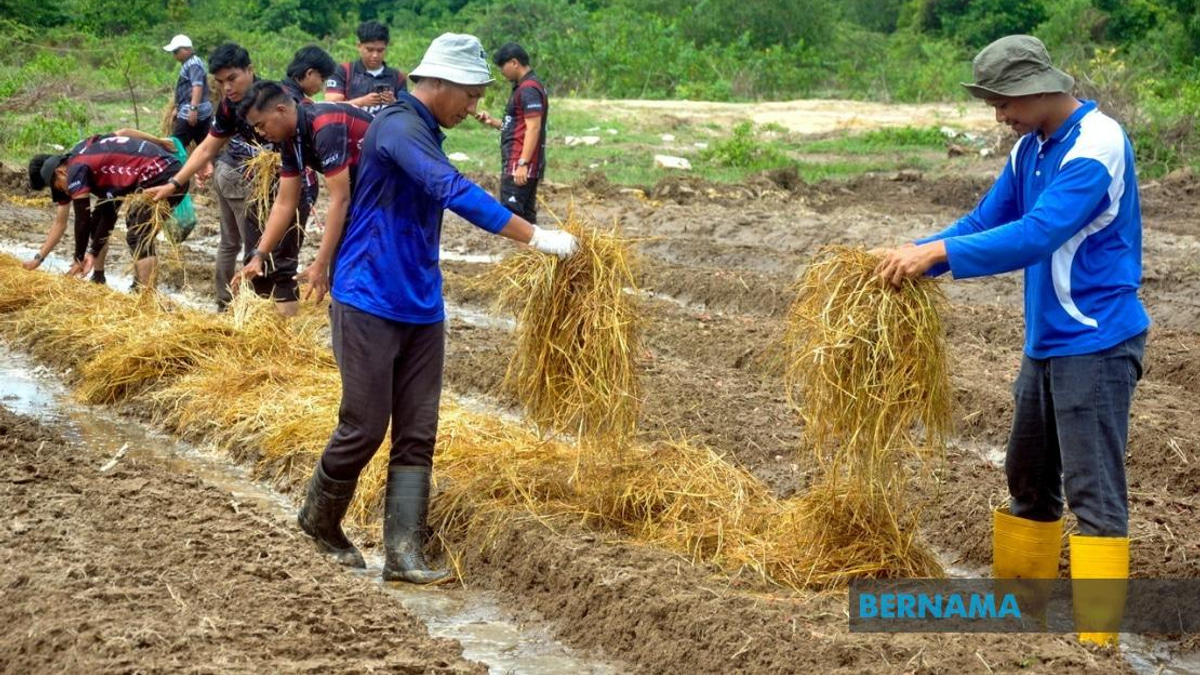 Agricultural TVET Graduates' Employment Rate Climbs to 76 Per Cent, Though Gap Remains