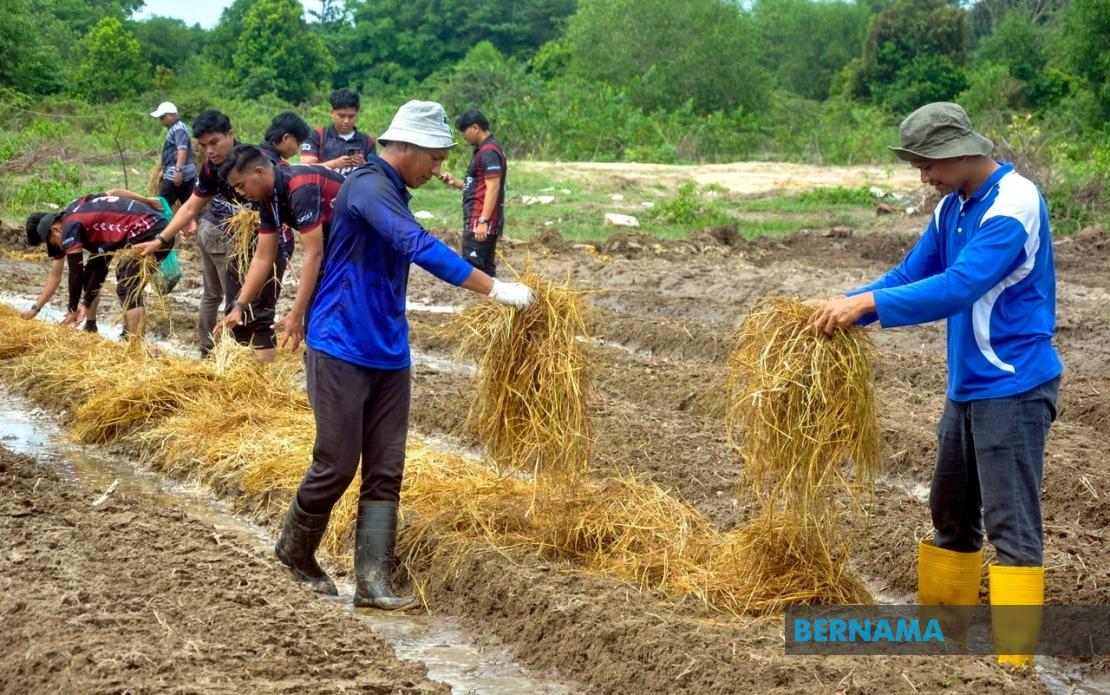 Agricultural TVET Graduates' Employment Rate Climbs to 76 Per Cent, Though Gap Remains