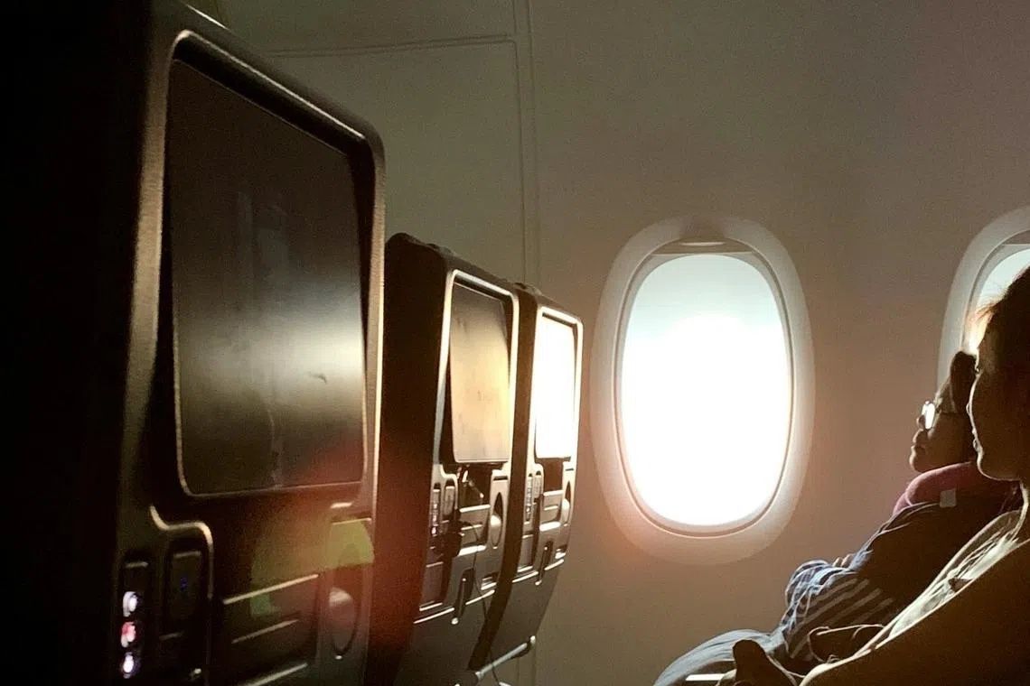 South Korean Teen Demands Better Safeguards Against Inappropriate In-Flight Entertainment