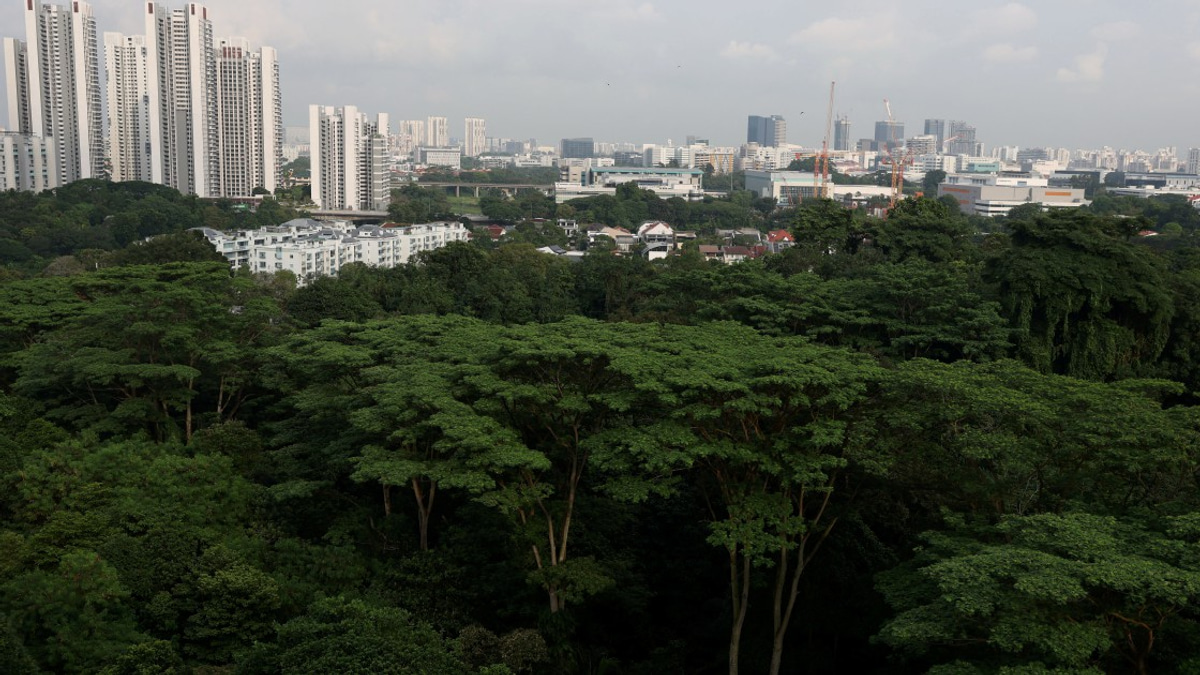 Singapore arrests three teenagers accused of plotting terror attacks in widening radicalisation concern