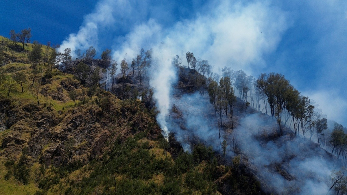 Indonesia Shuts Mount Bromo to Tourists as Wildfire Ravages East Java Volcano