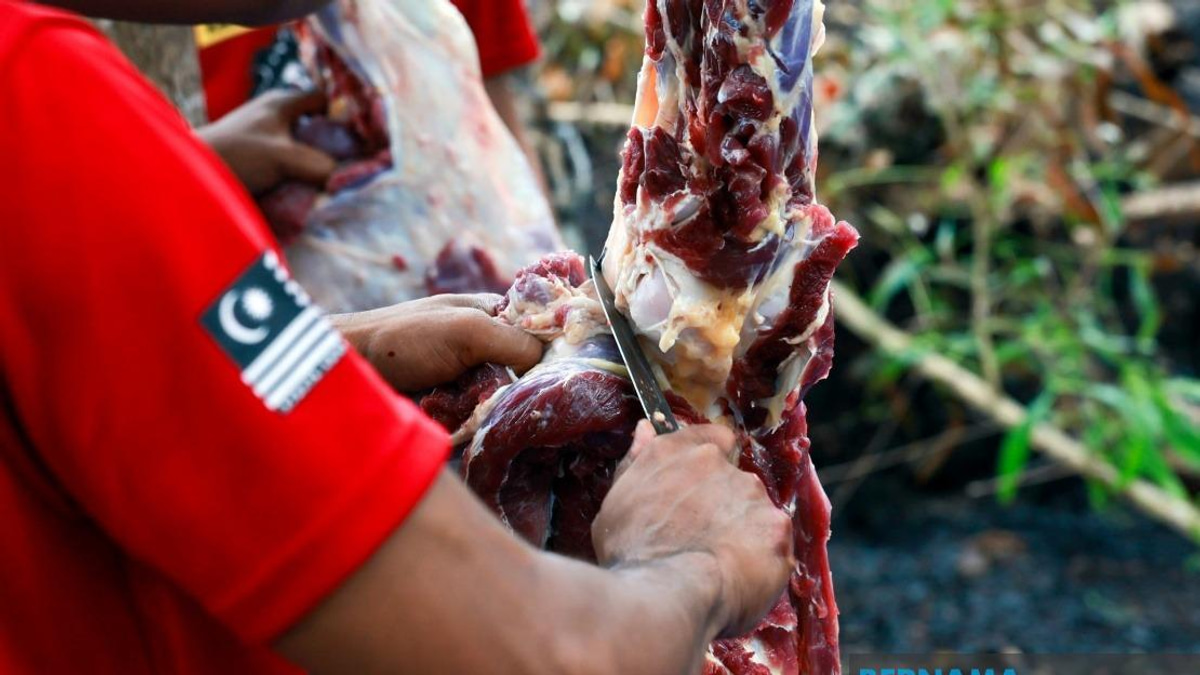 Anwar's Sacrificial Cow Donation Shows Commitment to Media Welfare, Says PENDIKA