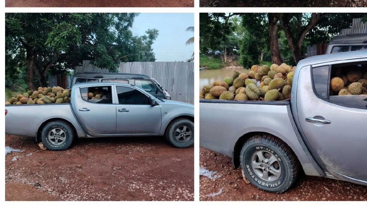Part-Time Driver Arrested with 700kg of Smuggled Durians in Kelantan