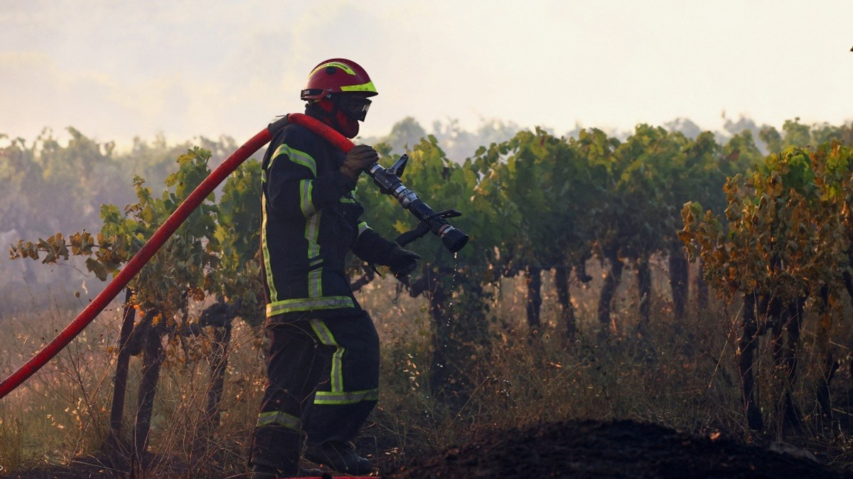 Massive Wildfire Sweeps Through France's Var Region, Displacing Hundreds