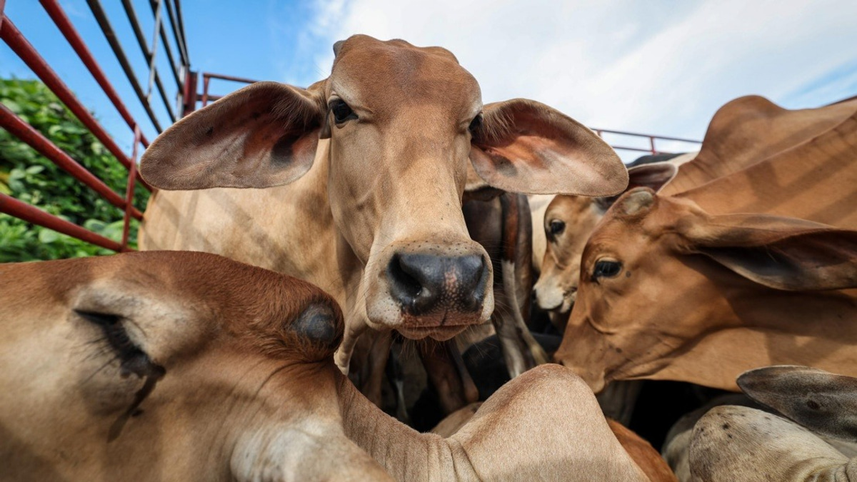 PMO and GKMM Expand Qurban Media 2.0 Programme to Six States