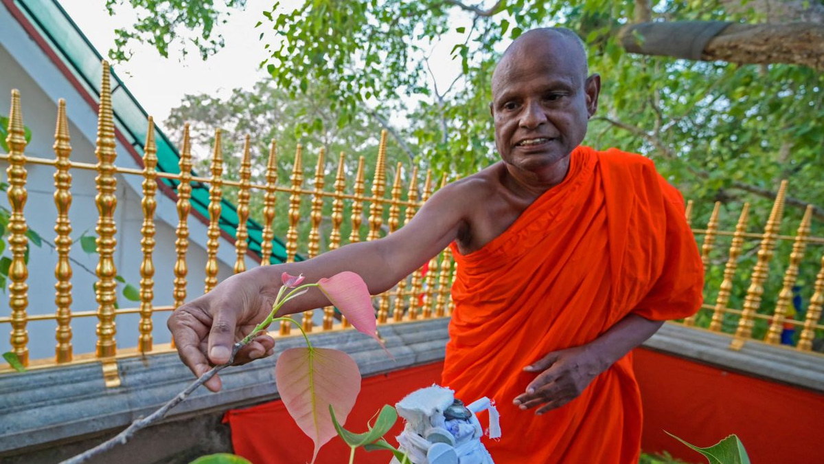 Sri Lanka suspends senior monk accused of child sexual abuse