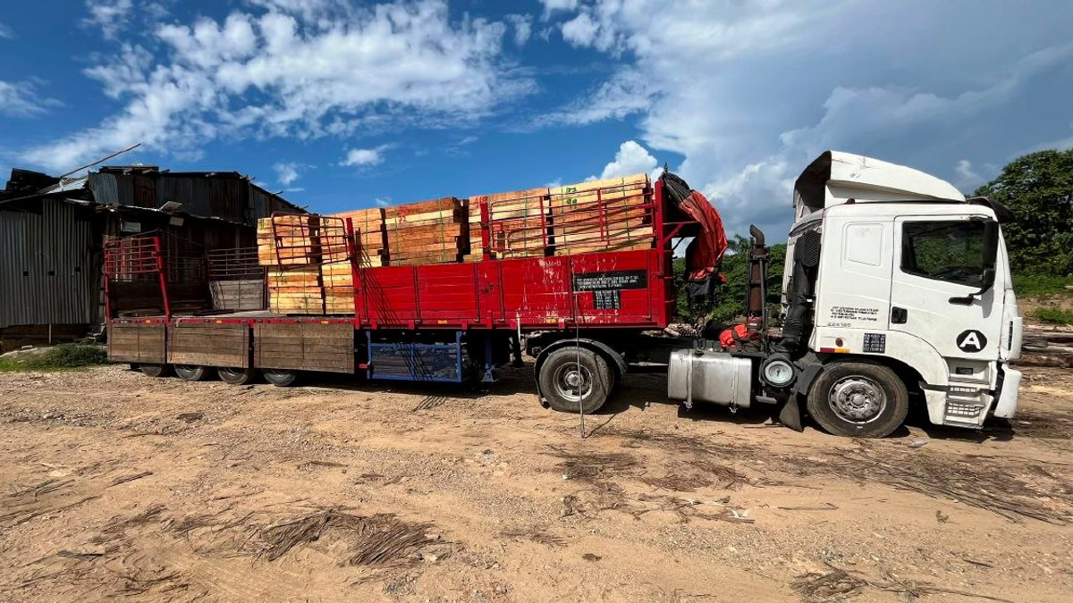 Five Arrested in RM2.32 Million Illegal Timber Bust in Kelantan