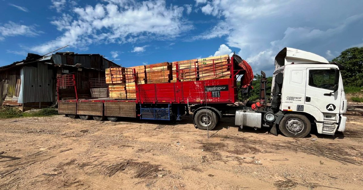Five Arrested in RM2.32 Million Illegal Timber Bust in Kelantan