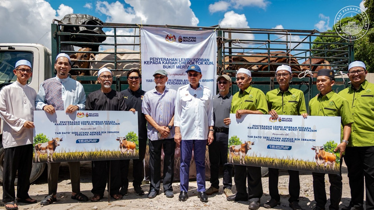 PM Anwar Distributes 260 Sacrificial Cattle to Permatang Pauh Residents