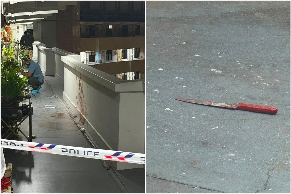 Singapore Man Charged With Murder of Neighbour in Lengkok Bahru