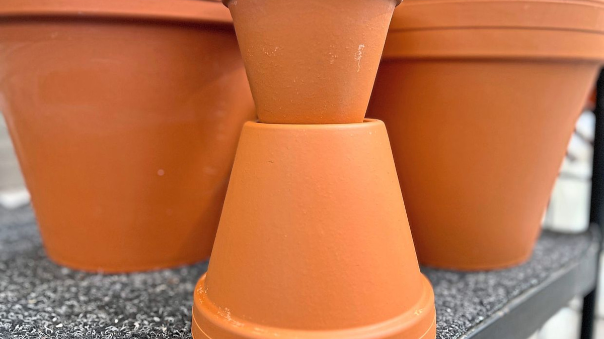 Keeping Microplastics Out of Your Garden: A Practical Guide for Southeast Asian Growers