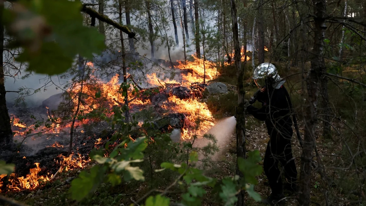 Massive Wildfire Destroys 1,300 Hectares Near Paris as Arson Suspects Arrested