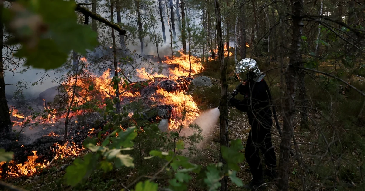 Massive Wildfire Destroys 1,300 Hectares Near Paris as Arson Suspects Arrested