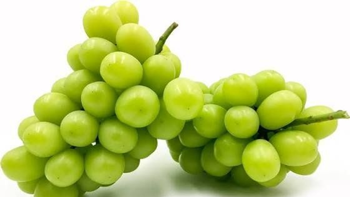 Japanese man held for RM36,000 grape heist from Okayama greenhouse